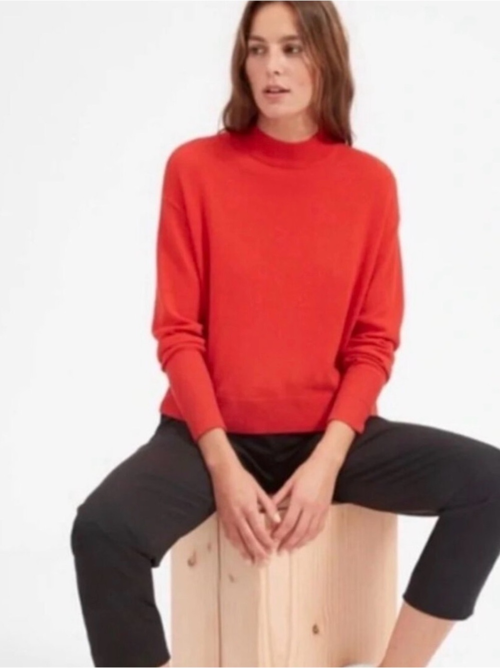 Everlane Cashmere Crop Mockneck Sweater